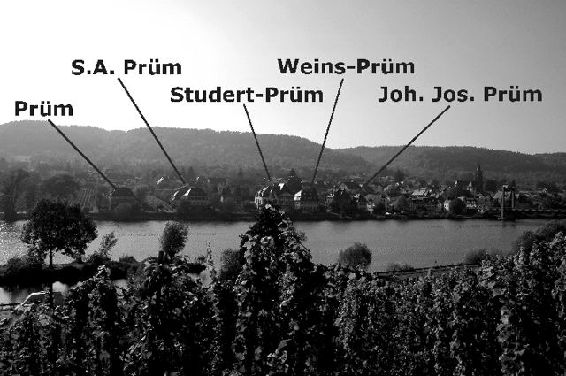 Die Prüm-Häuser in Wehlen