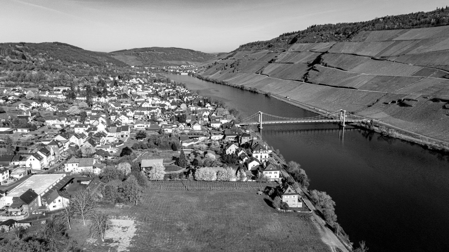 Wehlen und die Moselschleife aus der Luft