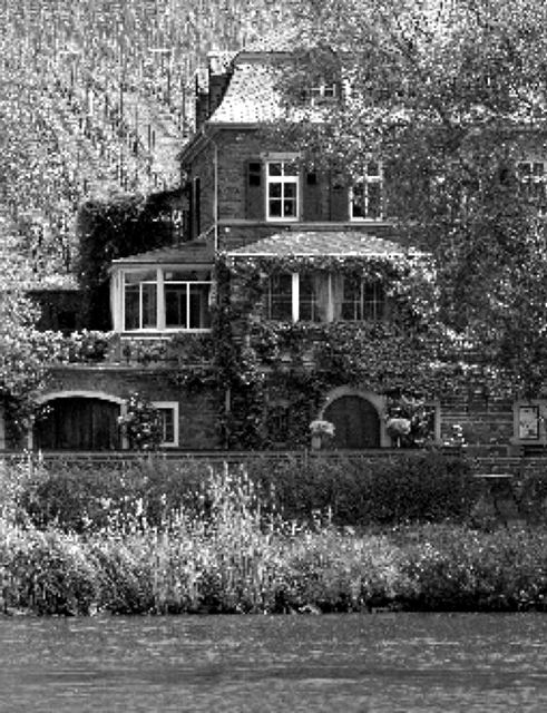 Weingut Dr. Loosen